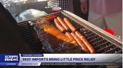 Beef imports bring little price relief