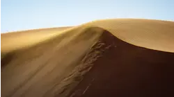 Deserts