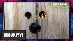 Security!