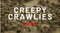 Creepy Crawlies - Army