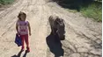 Viral Wild
