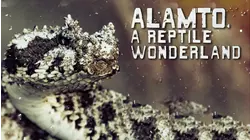 Alamto: A Reptile Wonderland
