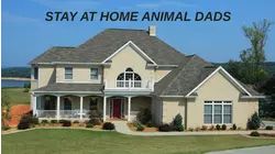 Stay At Home Animal Dads