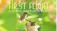 First Flight: A Mother Hummingbird's Story