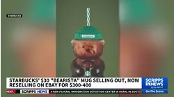 Starbucks' new 'Bearista' cup is now available. Here's how you can get one
