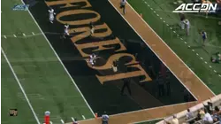 Wake Forest WR Alex Bachman Delivers One-Handed TD Grab