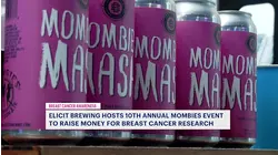 MOMbies are back at Elicit Brewing this Sunday!