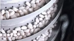 FDA approves first pill version of GLP-1 drugs