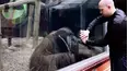 Animals Unscripted