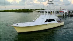 Top 5 Saltwater Catches