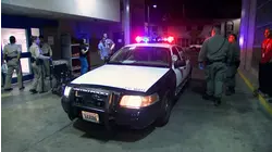 Big Bites