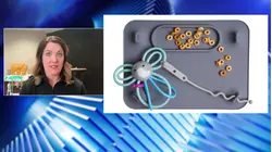 Supreme Court ruling brings relief, but tariff uncertainty lingers for small business