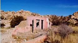 Joshua Tree (1994)