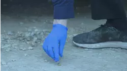 Sex, Lies, and Murder