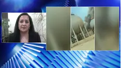 What to know about 'black rain' that fell on Iran after strikes on oil reserves