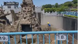 Japanese zoo says viral monkey Punch safe after 2 people broke into enclosure