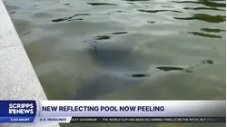 Blue coating peels at Lincoln Memorial Reflecting Pool days after $14.7M renovation