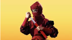 Night of the Ninja