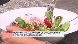 17 cases of stomach-sickening cyclosporiasis reported in Nassau County