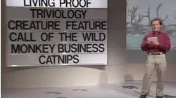 Dolphins vs. Deer