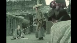 Flowers chasing shadows