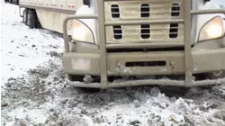 My Purpose Is to Protect