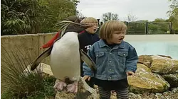 Penguins