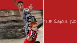 The Shaolin Kid