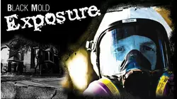 Black Mold Exposure