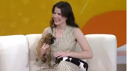 Furry Friends Take Over TODAY: See the Pups Up for Adoption