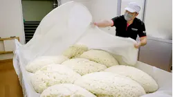Why 1% Polished Rice Sake Is So Expensive