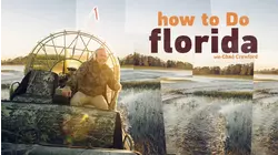 How To Do Deadhead Logging