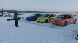 Easy Tiger