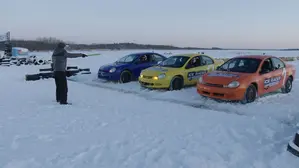Easy Tiger