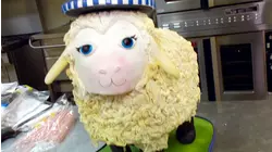 Charm City... Off the Grid