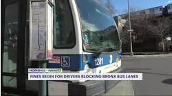 Fines begin for drivers blocking Bronx bus lanes