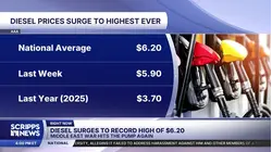 Diesel prices set new record