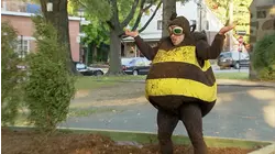 A Bee's Life