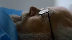 Totally out of the blue, Season 2, Episode 6