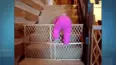Kids Do The Craziest Things