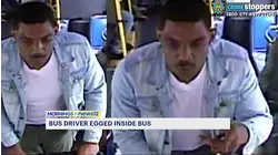 Eggs thrown at BX15 bus operator by passenger in Morrisania