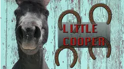 Little Cooper