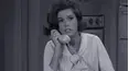 The Dick Van Dyke Show