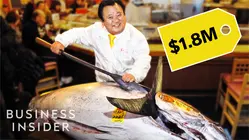 Why Bluefin Tuna Is So Expensive