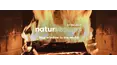 Glowing Fireplace: Christmas music
