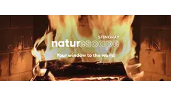 Glowing Fireplace: Christmas music