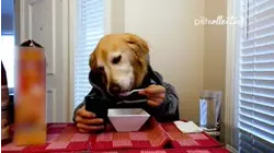 Ep. 3.6