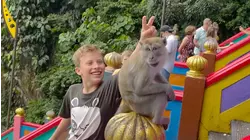 Attacked by Monkeys