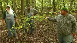 Enter the Dark Forest