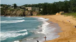 Whale Beach, Australia featuring Acoustic Alchemy,Paul Hardcastle, Joyce Cooling
